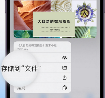 西畴apple维修中心分享iPhone文件应用中存储和找到下载文件