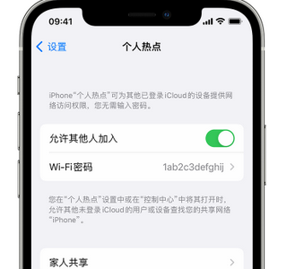 西畴apple服务站点分享iPhone上个人热点丢失了怎么办