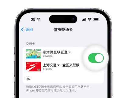 西畴apple维修点分享iPhone上更换Apple Pay快捷交通卡手绘卡面 