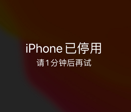 西畴苹果手机维修分享:iPhone 显示“不可用”或“已停用”怎么办？还能保留数据吗？ 