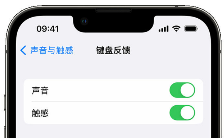 西畴苹果手机维修分享iPhone 14触感键盘使用方法 