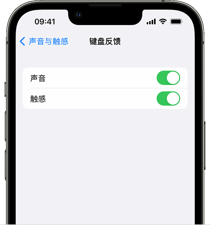 西畴苹果14维修店分享如何在 iPhone 14 机型中使用触感键盘 