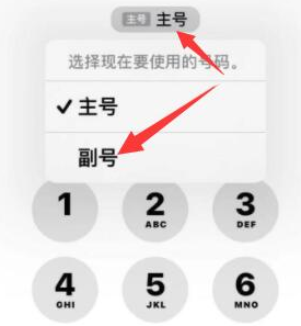 西畴苹果14维修店分享iPhone 14 Pro Max使用副卡打电话的方法 