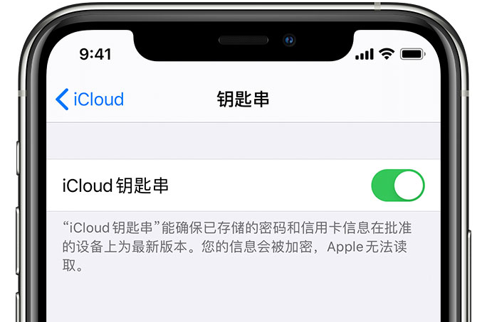 西畴苹果手机维修分享在 iPhone 上开启 iCloud 钥匙串之后会储存哪些信息 