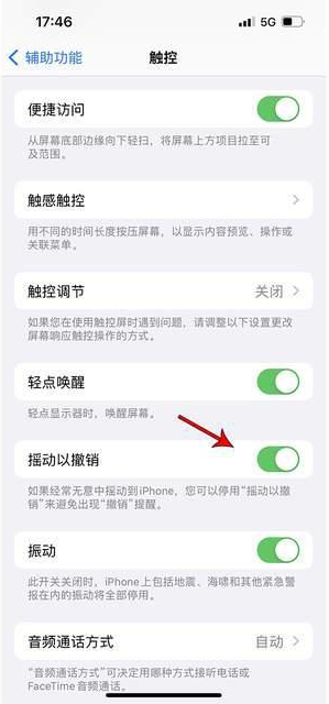 西畴苹果手机维修分享iPhone手机如何设置摇一摇删除文字 