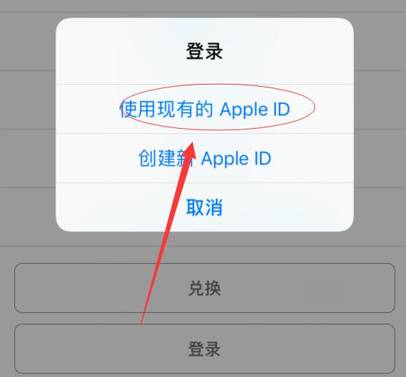 西畴苹果手机维修分享两台iPhone设备可以同时登录一个Apple ID吗 