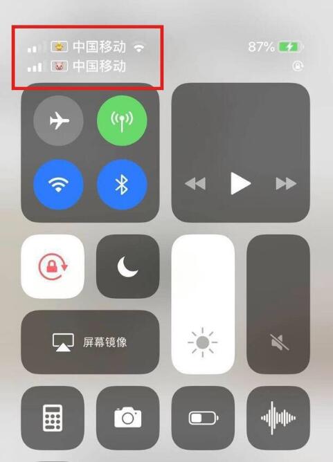 西畴苹果手机维修分享为 iPhone 12 双卡设置标签 